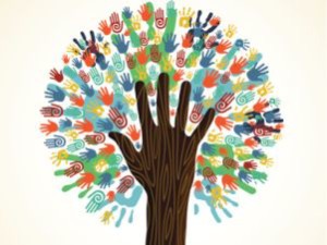 Will I Be Able to Work for an NGO with a Sociology Degree?